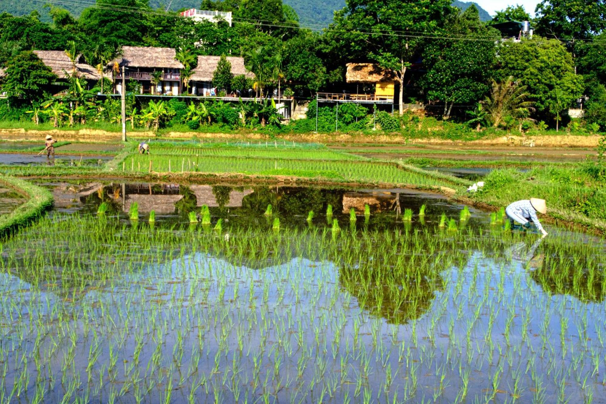 Nha Tan - Mai Chau Homestay And Tours מראה חיצוני תמונה